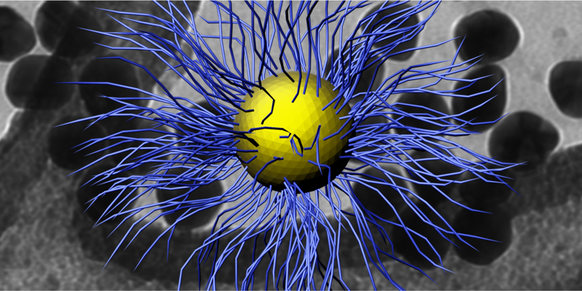 Modell eines Nanopartikels mit Oberflächenfunktionalisierung